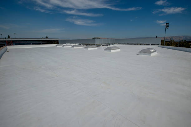 Best Skylight Installation and Repair  in West Athens, CA