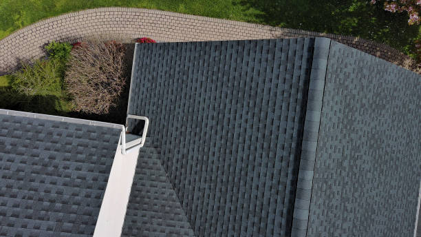 Best Skylight Installation and Repair  in West Athens, CA