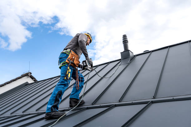 Best Roof Moss and Algae Removal  in West Athens, CA