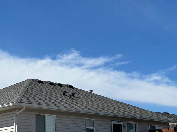 Best Gutter Installation and Repair  in West Athens, CA